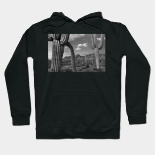 Saguaro Cacti Tucson Mountains Hoodie